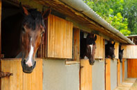 free Llwynypia stable construction quotes